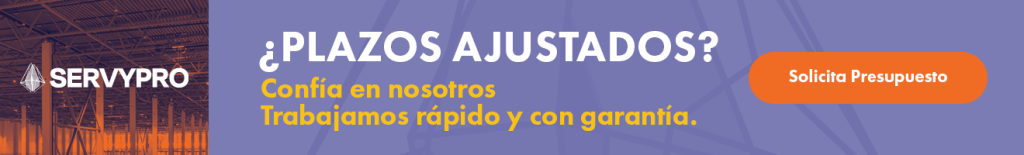 presupuesto proteccion contra incendios