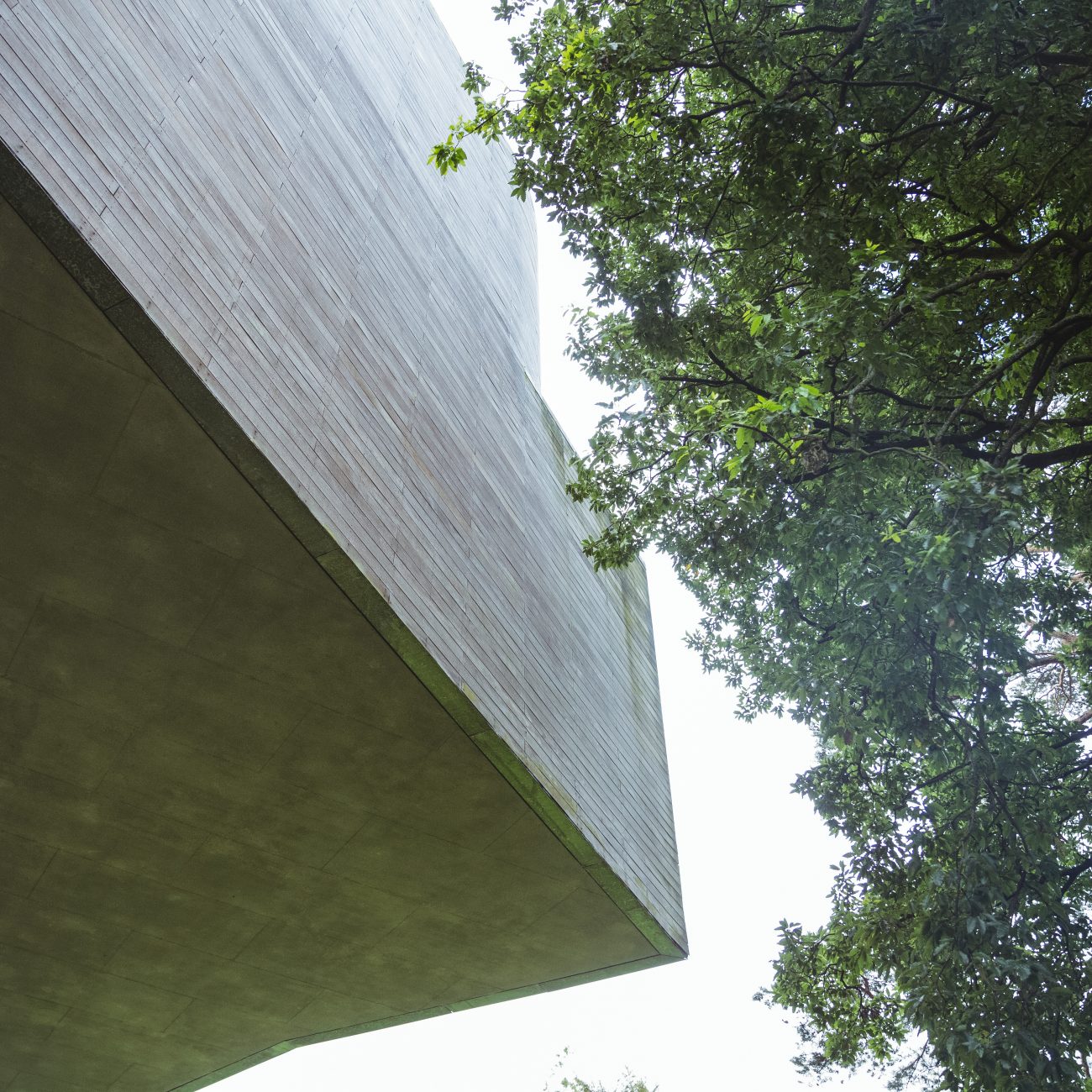 arquitectura ecológica